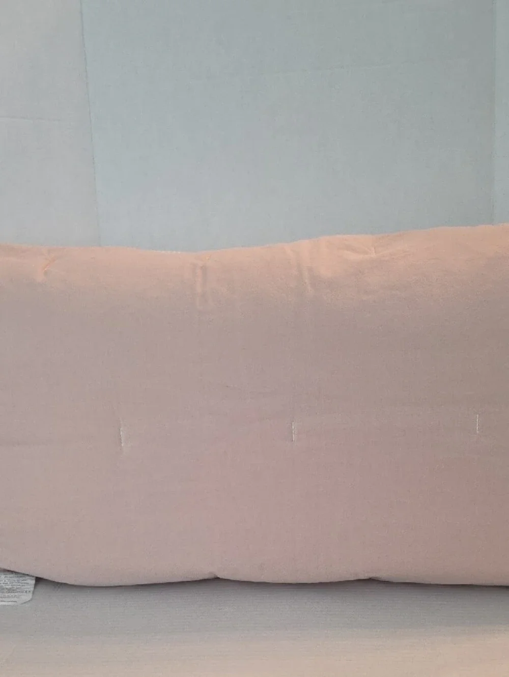 Pottery Barn Pale Pink White Stripes Front Quilted Cotton King Pillow Shams